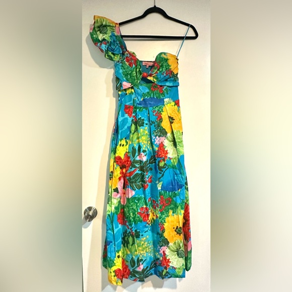 Eva Franco One-Shoulder Pleated Dress - Matisse - Picture 4 of 8